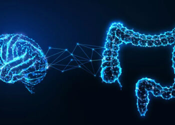 ശരീരത്തിലെ രണ്ടാമത്തെ മസ്തിഷ്കം, ആരോഗ്യം നിര്ണ്ണയിക്കുന്നതില് പ്രധാനി; ഭൂരിഭാഗവും പൊള്ളയായ ഈ ശരീരഭാഗമേത്?