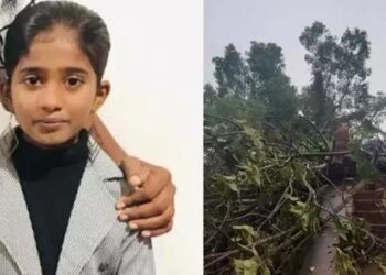 മരം കടപുഴകി വീണ് സ്കൂൾ വിദ്യാർഥിനി മരിച്ചു