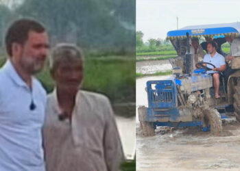 കണ്ടം കിളച്ചും ഞാറ് നട്ടും രാഹുൽ: ചിത്രങ്ങൾ വൈറൽ