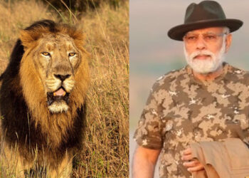 ലോക സിംഹ ദിനം: രാജ്യത്ത് സിംഹങ്ങളുടെ എണ്ണത്തില്‍ വര്‍ദ്ധനവ്; സംരക്ഷണ പ്രവര്‍ത്തനങ്ങളെ പ്രകീര്‍ത്തിച്ച് പ്രധാനമന്ത്രി