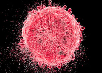 അര്‍ബുദം ശരീരത്തിന്‌റെ മറ്റുഭാഗങ്ങളിലേക്ക് പടരാനുള്ള കാരണം ഇതാണ്, ഇത് തടയാനാകും; നിര്‍ണ്ണായക കണ്ടെത്തലുമായി പഠനം