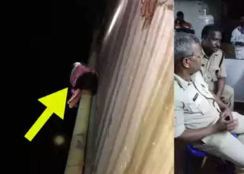 10 വയസുകാരിയെ തള്ളിയിട്ട് കൊല്ലാൻ നോക്കി അമ്മയുടെ കാമുകൻ; പൈപ്പിൽ തൂങ്ങിക്കിടന്ന് പോലീസിനെ വിളിച്ച് പെൺകുട്ടി; അത്യപൂർവ്വ രക്ഷപ്പെടലിന്റെ കഥ