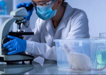 ചൈനീസ് ബന്ധമുള്ള അനധികൃത ലബോറട്ടറി കണ്ടെത്തി ;  ലാബിൽ ആയിരത്തോളം പരീക്ഷണ എലികളും നിരവധി വൈറസ് സാമ്പിളുകളും