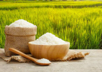 ആഗോള തലത്തിൽ ഇന്ത്യ അരി കയറ്റുമതി നിരോധിച്ചത് എന്തുകൊണ്ട് ?  വിലക്കയറ്റത്തിലും പൂഴ്ത്തിവെപ്പിലും വലഞ്ഞ് അമേരിക്ക അടക്കമുള്ള ഭക്ഷ്യവിപണികൾ