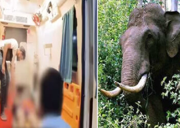 അതിരപ്പിള്ളിയിൽ കാട്ടാനയുടെ ആക്രമണം; വനം വാച്ചർ കൊല്ലപ്പെട്ടു