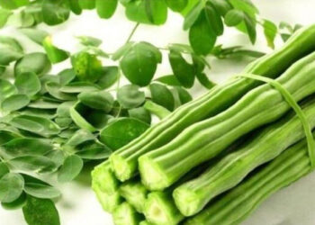 നിസ്സാരനല്ല മുരിങ്ങക്കായ; നിത്യേന കഴിച്ചാൽ പലതുണ്ട് ഗുണങ്ങൾ