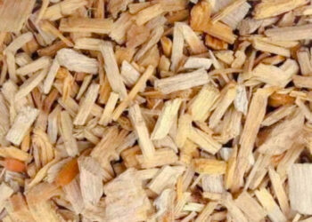 വീട്ടിൽ സൂക്ഷിച്ചത് 40 കിലോ ചന്ദനം ; തിരുവനന്തപുരം സ്വദേശി അറസ്റ്റിൽ