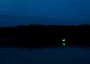 ബംഗാളിലെ മത്സ്യത്തൊഴിലാളികളുടെ പേടിസ്വപ്നം ; അലേയ പ്രേതവെളിച്ചം സത്യമോ മിഥ്യയോ?! ദുരൂഹമായി മരണപ്പെട്ട് നിരവധി മത്സ്യത്തൊഴിലാളികൾ