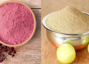 സോപ്പ് വേണ്ട, പകരം ഈ പൊടി ഉപയോഗിച്ച് കുളിച്ചാൽ മതി, ചർമ്മത്തിന് തിളക്കം കൂടും