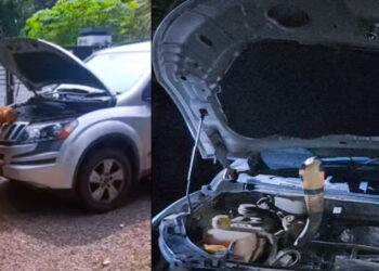 ഗവിയിൽനിന്നും മടങ്ങിവന്ന വീട്ടുകാരോടൊപ്പം പുതിയൊരു അതിഥിയെ കണ്ടു ഞെട്ടി വളർത്തുനായ ; 200 കിലോമീറ്ററോളം യാത്ര ചെയ്ത് രാജവെമ്പാല