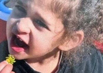 വെടിനിർത്തൽ കരാറിൽ ഹമാസ് ഭീകരർ മോചിപ്പിച്ച 4 വയസുകാരി അബിഗെയ്ൽ ആരാണ്?