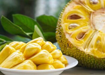 വീട്ടിലെ പ്ലാവ് കായ്‌ച്ചോ? ; പൊന്നും വില നൽകി വാങ്ങാൻ ആളുണ്ട്; സംസ്ഥാനത്ത് ചക്കയ്ക്ക് വൻ ഡിമാൻഡ്