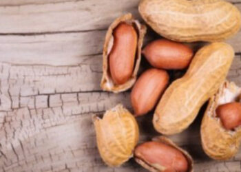 ഹൃദയത്തെ സംരക്ഷിക്കാം രോഗപ്രതിരോധശേഷി വർദ്ധിപ്പിക്കാം ; നിലക്കടല ഇങ്ങനെ കഴിക്കൂ, ആരോഗ്യത്തോടെ ഇരിക്കൂ