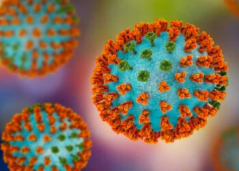 എച്ച് 9 എൻ 2 വൈറസിനെ നേരിടാൻ ഇന്ത്യ സജ്ജം;  മൃഗങ്ങളിലും വന്യജീവി മേഖലകളിലും നിരീക്ഷണം ശക്തിപ്പെടുത്തി