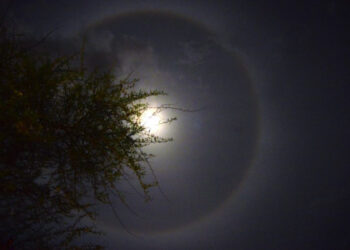 അതിശയിപ്പിച്ച് ലൂണാർ ഹാലോ ; കേരളത്തിലെ വിവിധ ഇടങ്ങളിൽ ദൃശ്യമായി