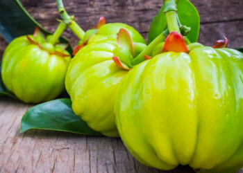 കുടംപുളി ഉപയോഗിക്കുന്നവർ ഈ കാര്യങ്ങൾ ശ്രദ്ധിച്ചില്ലെങ്കിൽ പണി കിട്ടുമേ!