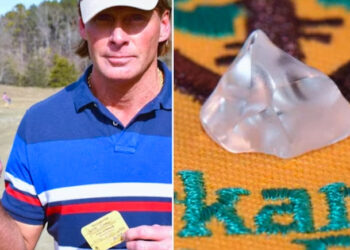 പാർക്കിൽ നിന്നും ലഭിച്ച ഗ്ലാസ് കഷ്ണം സൂക്ഷിച്ചുവെച്ചു  ; ഒടുവിൽ തിരിച്ചറിഞ്ഞു, ഗ്ലാസല്ല  4.8 കാരറ്റ് വജ്രം!