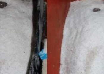 ജീവന്‍ തിരിച്ചു കിട്ടുമെന്ന് കരുതി മൃതദേഹങ്ങള്‍ ഉപ്പില്‍ സുക്ഷിച്ചു മാതാപിതാക്കള്‍