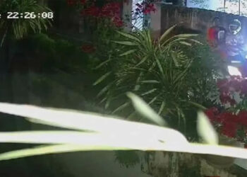 രാത്രി കുടുംബത്തോടൊപ്പം സ്കൂട്ടറിലെത്തി; അ‌ടിച്ച് മാറ്റിയത് നിറയെ പൂക്കളുള്ള ബോഗൻവില്ല; വീഡിയോ ​​വൈറൽ