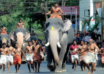 ആനയോട്ടത്തിൽ മുൻനിര ആനകളുടെ എണ്ണം കുറച്ച് ഗുരുവായൂർ ദേവസ്വം ബോർഡ്