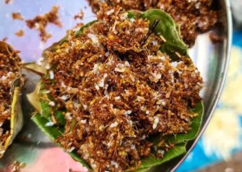 പുളിയുറുമ്പ് ചമ്മന്തിയ്ക്ക് ജിഐ ടാഗ്; അഭിമാനമായി കൊച്ചു ഗ്രാമം; എന്താണിത്ര പ്രത്യേകത