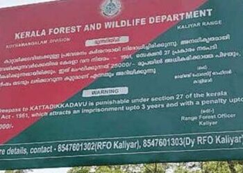 കത്തിക്കാൻ ഭയം,സുരക്ഷാ കാരണങ്ങളാൽ കൃത്യമായ കണക്കും പുറത്ത് വിടാനാവില്ല; വനംമന്ത്രിയും കൈമലർത്തി; പാടുപെട്ട് വനംവകുപ്പ്