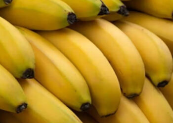 കണ്ടാൽ വഴപ്പഴം; സൂക്ഷിച്ച് പരിശോധിച്ചപ്പോൾ കോടികളുടെ മയക്കുമരുന്ന്; കണ്ണു തള്ളി പോലീസ്