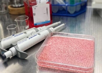 അരി വെജിറ്റേറിയനോ നോൺ വെജിറ്റേറിയനോ; നോൺ അരി വികസിപ്പിച്ചെടുത്ത് ഗവേഷകർ; അറിയാം വിശദമായി തന്നെ