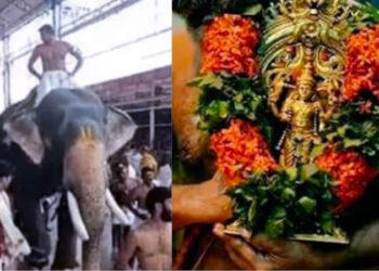 ഗുരുവായൂർ ഉത്സവത്തിന് കൊടിയേറി ; തിടമ്പേറ്റാൻ ഒൻപതാം തവണയും ഗോപീ കണ്ണൻ