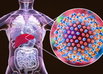 മലപ്പുറം ജില്ലയിൽ വൈറൽ ഹെപ്പറ്റൈറ്റിസ് പടരുന്നതായി റിപ്പോർട്ട് ; ദിവസങ്ങൾക്കുള്ളിൽ രണ്ടുപേർ മരിച്ചു