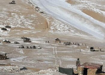 ലഡാക്കിൽ വൻ തോതിൽ സൈന്യത്തെ വിന്യസിക്കില്ലെന്ന ധാരണയിലെത്തി ഇന്ത്യയും ചൈനയും