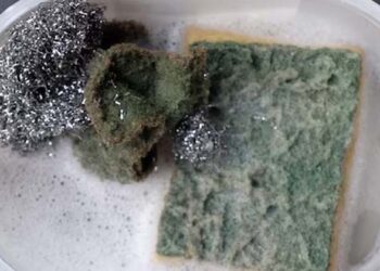 പാത്രം കഴുകാൻ സ്ഥിരമായി സ്ക്രബർ ഉപയോഗിക്കാറുണ്ടോ? എന്നാലിത് വായിക്കാതെ പോകരുത്