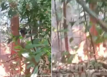 താരമശ്ശേരി ചുരത്തിൽ തീപിടിത്തം