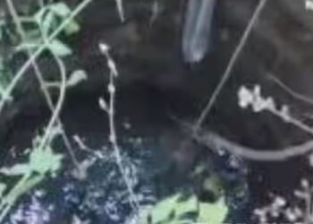 മൂന്ന് കുട്ടികളുമായി യുവതി കിണറ്റിൽ ചാടി; രണ്ട് കുട്ടികൾ മരിച്ചു; യുവതിയും ഒന്നര വയസുകാരിയും ചികിത്സയിൽ