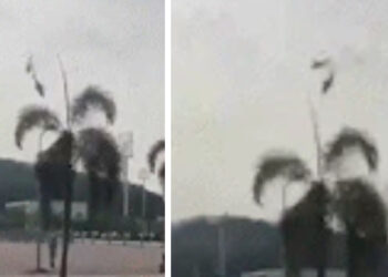 നാവികസേനയുടെ ഹെലികോപ്റ്ററുകൾ കൂട്ടിയിടിച്ച് അപകടം ; 10 പേർ മരിച്ചു