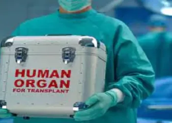 അവയവ മാഫിയാ സംഘത്തിലെ പ്രധാനി കൊച്ചിയില്‍ പിടിയിൽ