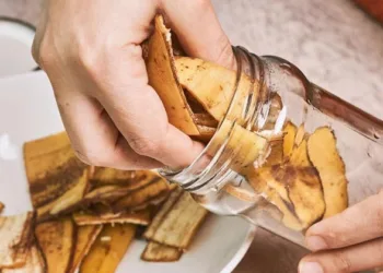 ഗോതമ്പിനേക്കാൾ കേമൻ, ഈ മഴയത്ത് ഒരു കഷ്ണം പഴത്തൊലി കേക്കായാലോ; രോഗപ്രതിരോധ ശേഷി വണ്ടി വിളിച്ചുവരും