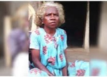 വിറക് ശേഖരിക്കാൻ കാട്ടിനുള്ളിൽ പോയ വയോധികയെ കാണാനില്ല; ഇന്നും തിരച്ചില്‍