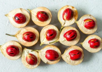 കോളൻ കാൻസർ പ്രതിരോധം മുതൽ മുതൽ ആർത്തവവേദന കുറയ്ക്കൽ വരെ ; ഒരു കായയിലുണ്ട് നൂറ് പരിഹാരങ്ങൾ