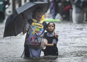 കനത്ത മഴ; പ്രഫഷണൽ കോളേജുകൾ അടക്കം അവധി പ്രഖ്യാപിച്ച് 8 ജില്ലകൾ; കണ്ണൂരിൽ ഭാഗികം