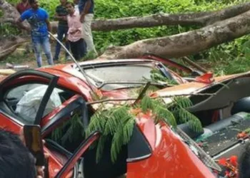 തിരുവനന്തപുരത്ത് കാറിനു മുകളിൽ മരം വീണ് സ്ത്രീ മരിച്ചു; ഭർത്താവിന് പരിക്ക്