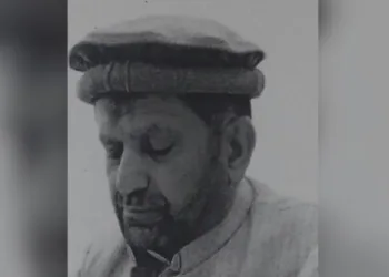 ഡൽഹിയിൽ വീട്ടുജോലിക്കാരിക്ക് നേരെ പീഡനശ്രമം; പാകിസ്താൻ നയതന്ത്രജ്ഞന്റെ പാചകക്കാരനെതിരെ കേസ്