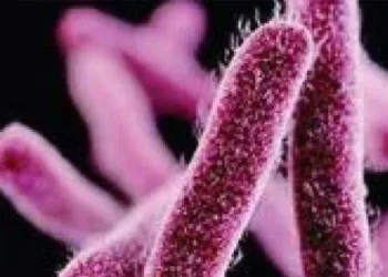 കേരളത്തിൽ വീണ്ടും ഷിഗല്ല ; നാല് കൂട്ടികൾക്ക് രോഗം സ്ഥിരീകരിച്ചു