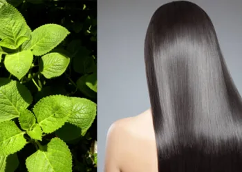 എന്തിനാണ് കെമിക്കൽ ഡൈ മൂന്നേ മൂന്ന് ഇല…ഇത്തിരി കട്ടൻചായ; എന്റെമ്മേ കാക്ക കറുപ്പ്