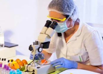 24 ലക്ഷത്തോളം പിഴയൊടുക്കിയിട്ടും കുലുക്കമില്ല, കളി പൊതുജനത്തിന്റെ ജീവന് വെച്ച്