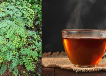 കട്ടൻചായയും ഈ രണ്ടിലയും മാത്രം മതി നരമാറി മുടി കാക്കക്കറുപ്പാകും; കാശ് ചിലവാകാതെ ഡൈ ഇനി വീട്ടിലുണ്ടാക്കൂ