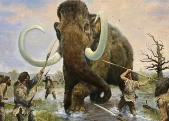 പെരുവിരലിന്റെ വലിപ്പമുള്ള ആയുധം, ഭീമന്മാരായ മാമത്തുകളെ കൊല്ലാന്‍ ഉപയോഗിച്ച ടെക്‌നിക് ഇങ്ങനെ