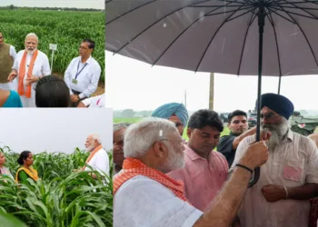 ഉൽപ്പാദനക്ഷമതയും കർഷകരുടെ വരുമാനവും വർധിപ്പിക്കും ; പ്രതികൂല കാലാവസ്ഥയെ അതിജീവിച്ച് വളരാൻ കഴിയുന്ന 109 ഇനം വിത്തിനങ്ങൾ പുറത്തിറക്കി പ്രധാനമന്ത്രി