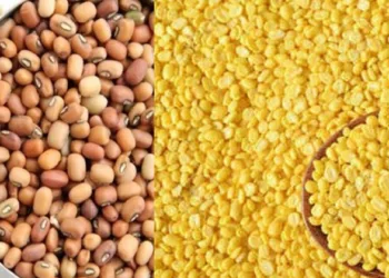 പരിപ്പ് , പയർ,  ചെറുപയർ , ഇവയിൽ എല്ലാം പ്രാണികൾ കയറി താമസം ആക്കുന്നുണ്ടോ ? ഈ കാര്യങ്ങൾ ചെയ്താൽ പ്രാണികൾ  ഏഴയലത്ത് വരില്ല