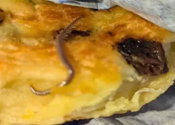 ജീവനുള്ള പഴുതാര പേസ്ട്രി; യുവാവ് വാങ്ങിയ പേസ്ട്രി കണ്ട് ഞെട്ടി സോഷ്യൽ മീഡിയ; പോസ്റ്റ് വൈറൽ